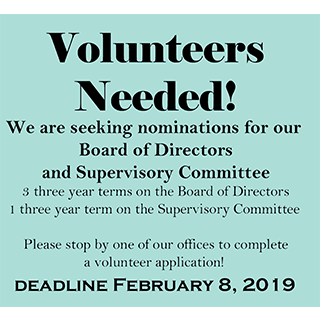 Volunteer for board of directors