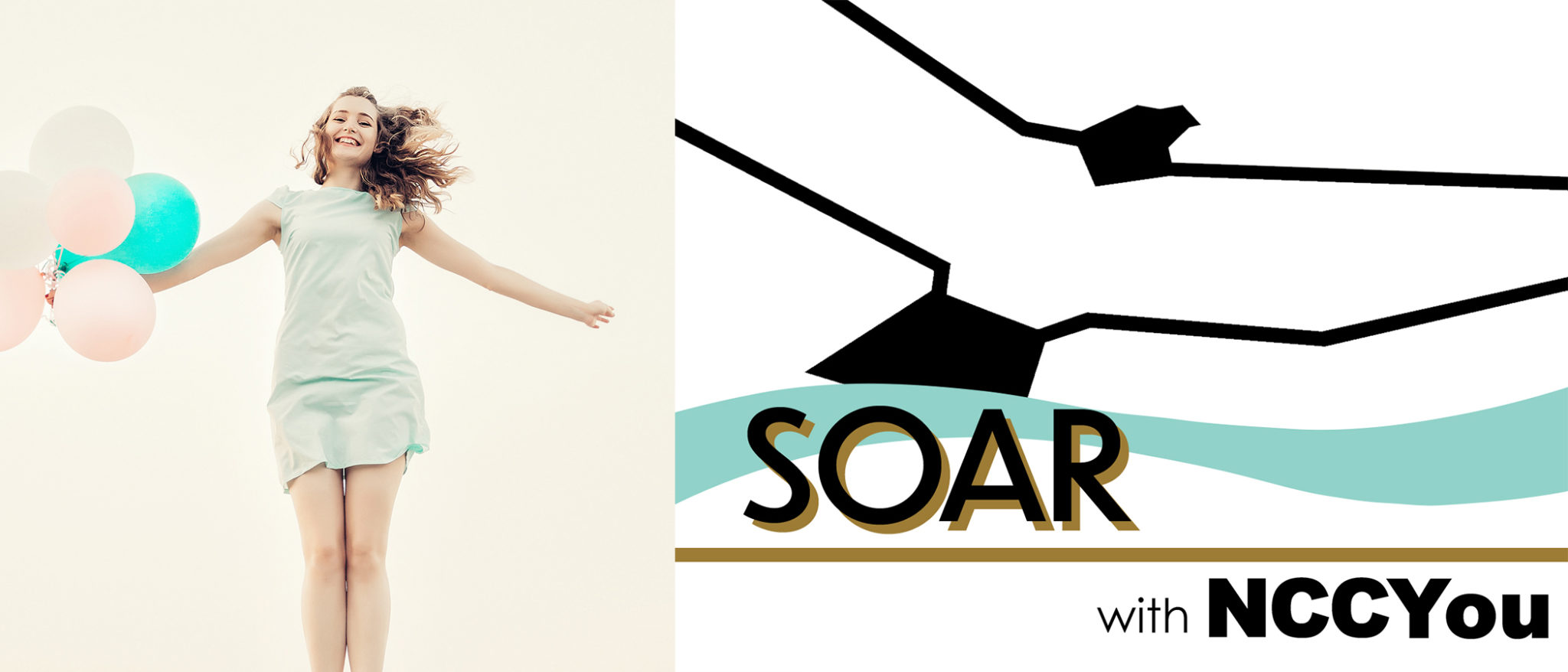 SOAR sized for webpage copy