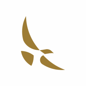 Eagle-gold Icon of NCCYou's gold eagle