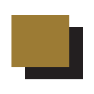 NCCYou logo colors NCCYou gold and black swatches